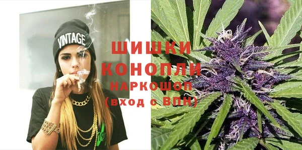прущие грибы Дмитриев
