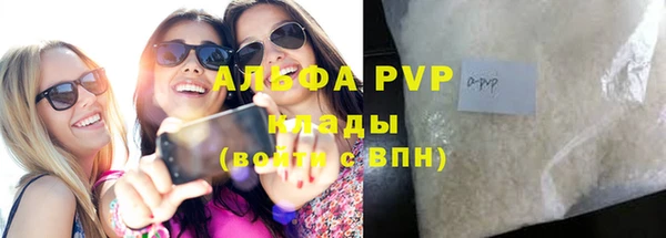 прущие грибы Дмитриев