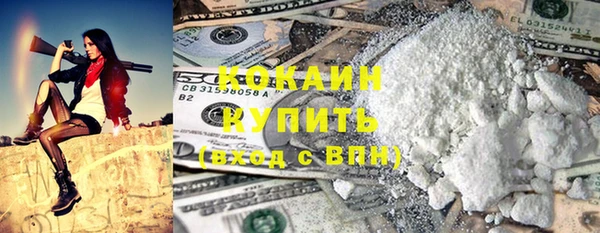 прущие грибы Дмитриев