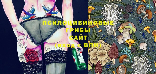 2c-b Елизово