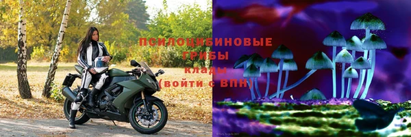бутират Ельня