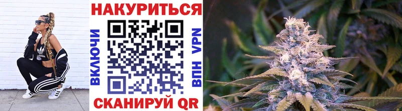 Купить закладки  Электрогорск  Бошки марихуана AK-47 